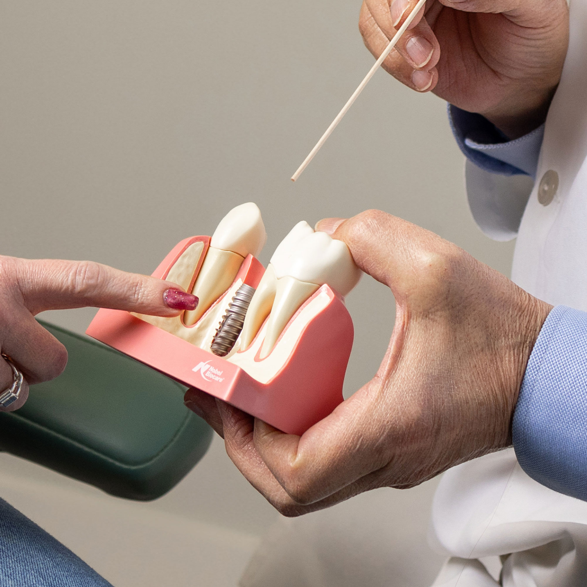 Using tooth model for explanation